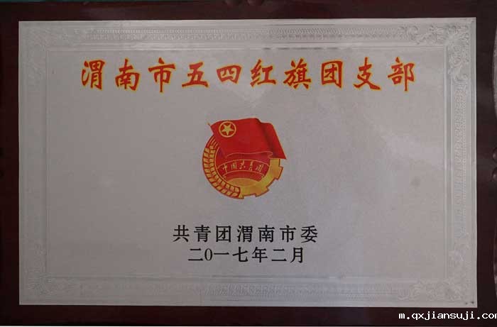 渭南市五四红旗团支部